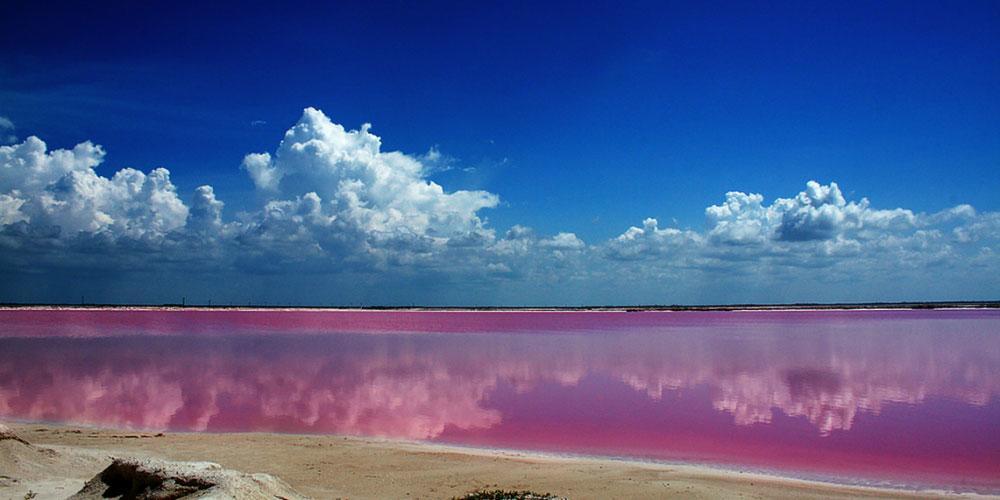 Отель Casa Laguna Lagartos Рио-Лагартос Экстерьер фото